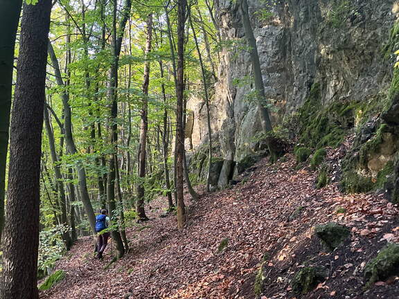 22-10-16 17-18-20 3089